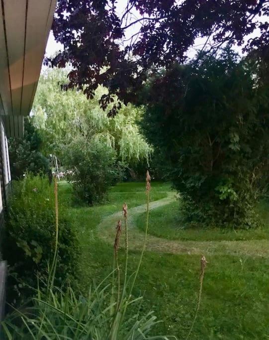 Spacey And Charming Cabin 300 M. From Beach Tjorneholm Exterior photo